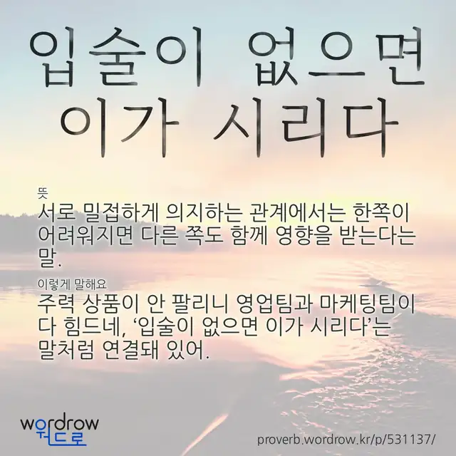 “입술이 없으면 이가 시리다” 글씨와 뜻·예문이 완성된 속담 영상 포스터