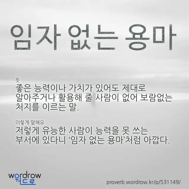 “임자 없는 용마” 글씨와 뜻·예문이 완성된 속담 영상 포스터