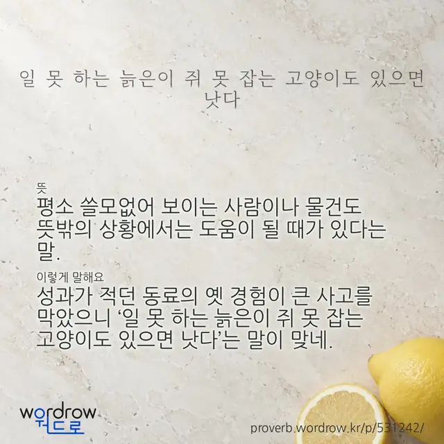 “일 못 하는 늙은이 쥐 못 잡는 고양이도 있으면 낫다” 글씨와 뜻·예문이 완성된 속담 영상 포스터