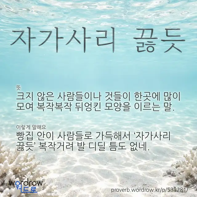 “자가사리 끓듯” 글씨와 뜻·예문이 완성된 속담 영상 포스터