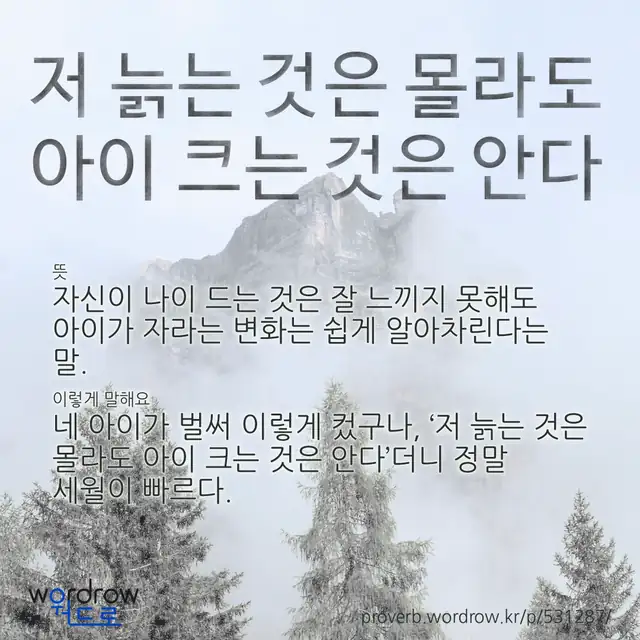 “저 늙는 것은 몰라도 아이 크는 것은 안다” 글씨와 뜻·예문이 완성된 속담 영상 포스터