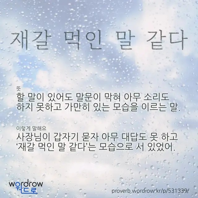 “재갈 먹인 말 같다” 글씨와 뜻·예문이 완성된 속담 영상 포스터