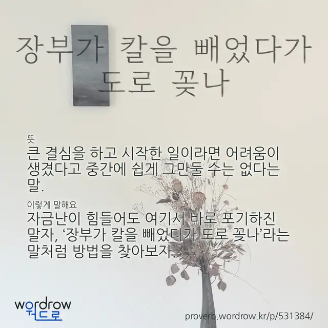 “장부가 칼을 빼었다가 도로 꽂나” 글씨와 뜻·예문이 완성된 속담 영상 포스터