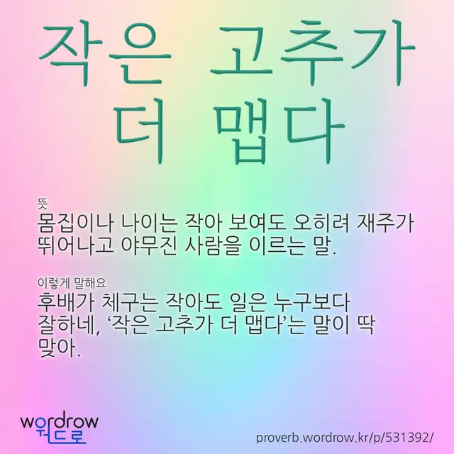 “작은 고추가 더 맵다” 글씨와 뜻·예문이 완성된 속담 영상 포스터