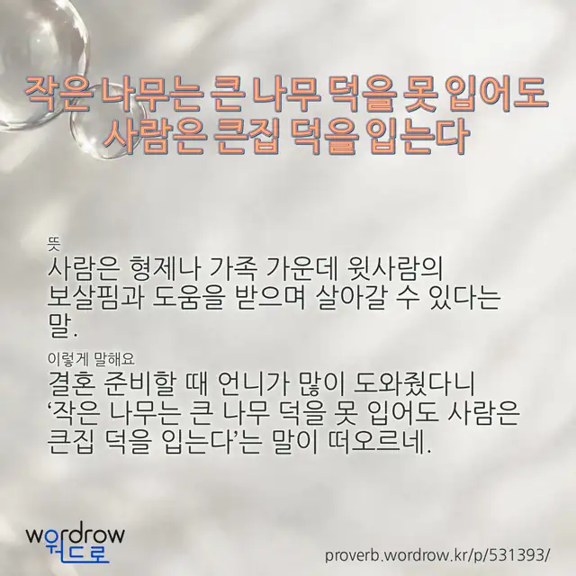 “작은 나무는 큰 나무 덕을 못 입어도 사람은 큰집 덕을 입는다” 글씨와 뜻·예문이 완성된 속담 영상 포스터