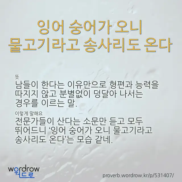 “잉어 숭어가 오니 물고기라고 송사리도 온다” 글씨와 뜻·예문이 완성된 속담 영상 포스터