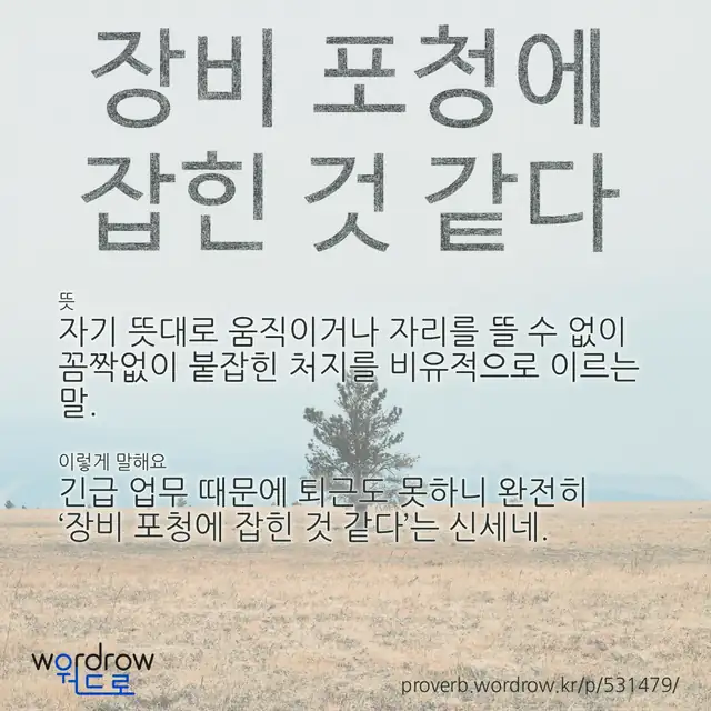 “장비 포청에 잡힌 것 같다” 글씨와 뜻·예문이 완성된 속담 영상 포스터