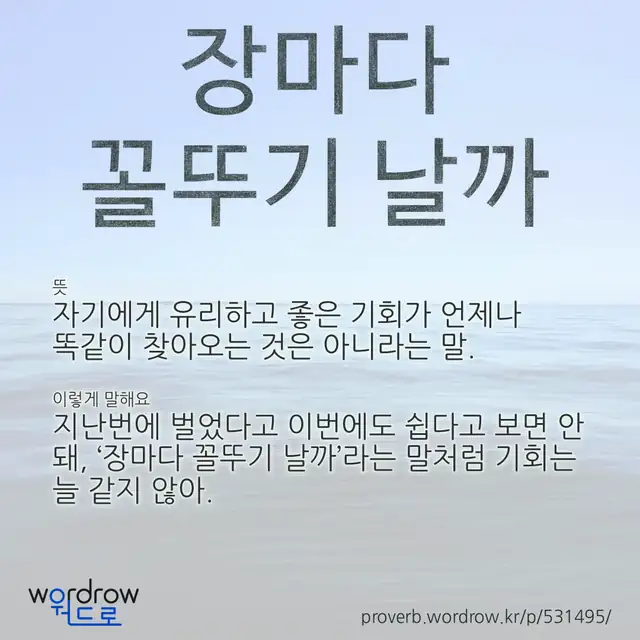 “장마다 꼴뚜기 날까” 글씨와 뜻·예문이 완성된 속담 영상 포스터