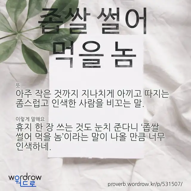 “좁쌀 썰어 먹을 놈” 글씨와 뜻·예문이 완성된 속담 영상 포스터