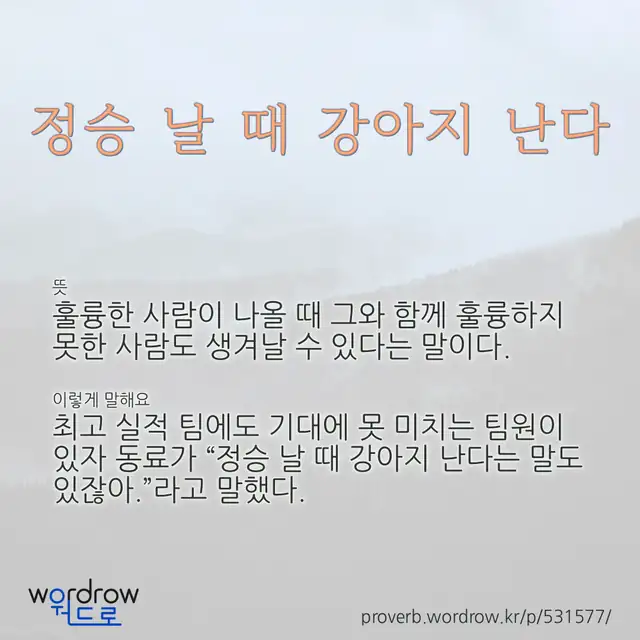 “정승 날 때 강아지 난다” 글씨와 뜻·예문이 완성된 속담 영상 포스터