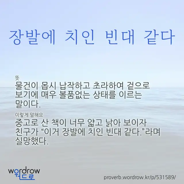 “장발에 치인 빈대 같다” 글씨와 뜻·예문이 완성된 속담 영상 포스터