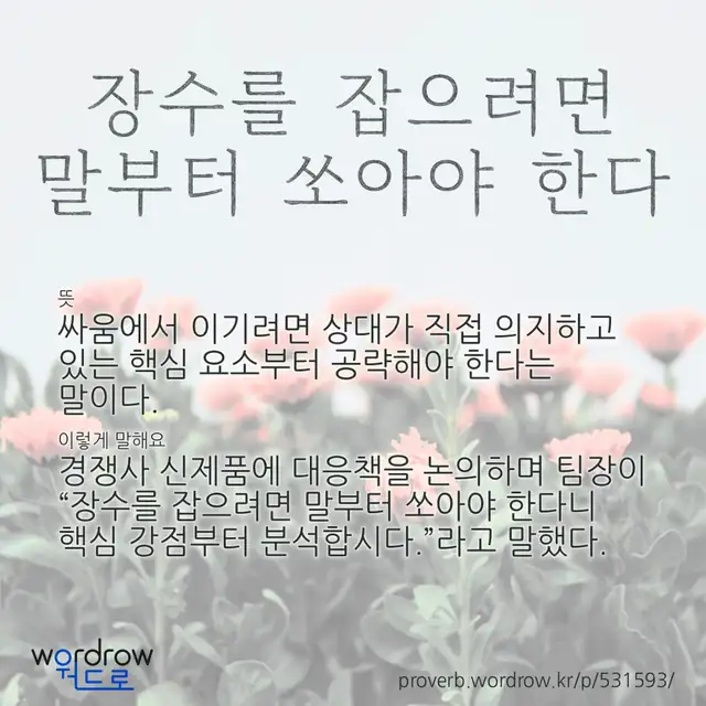 “장수를 잡으려면 말부터 쏘아야 한다” 글씨와 뜻·예문이 완성된 속담 영상 포스터