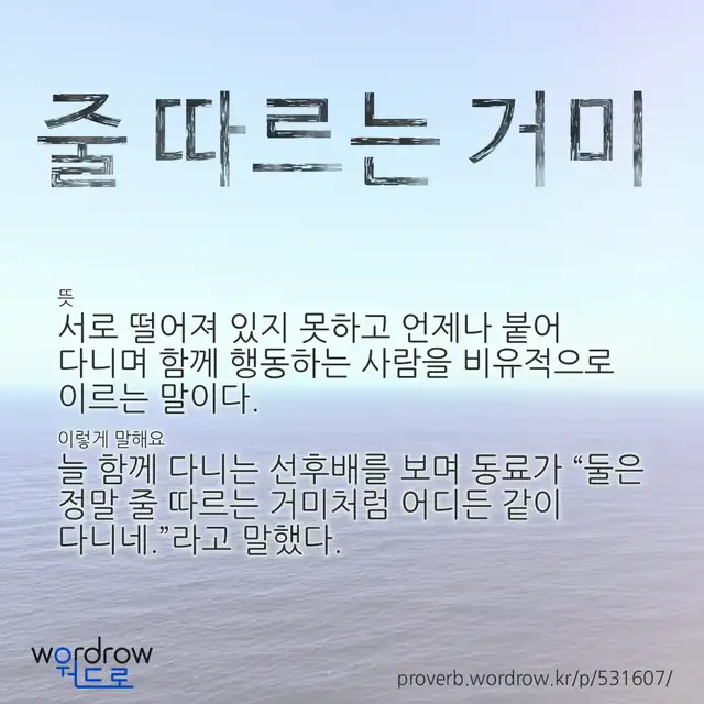 “줄 따르는 거미” 글씨와 뜻·예문이 완성된 속담 영상 포스터