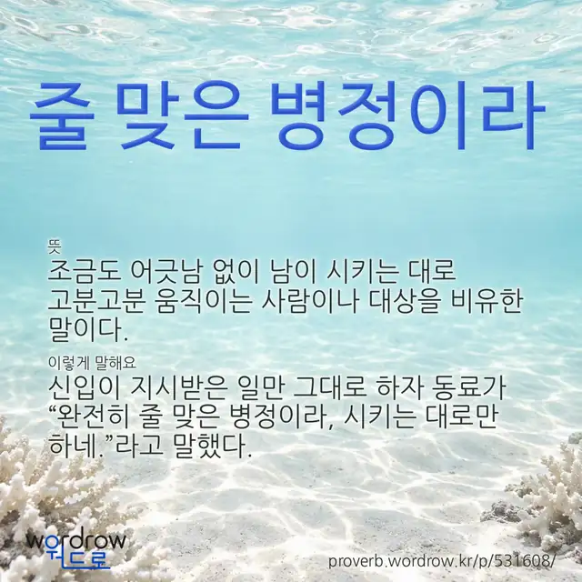 “줄 맞은 병정이라” 글씨와 뜻·예문이 완성된 속담 영상 포스터
