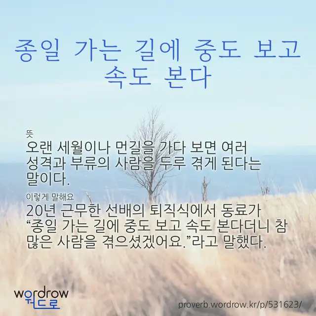 “종일 가는 길에 중도 보고 속도 본다” 글씨와 뜻·예문이 완성된 속담 영상 포스터