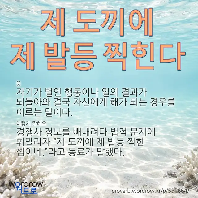 “제 도끼에 제 발등 찍힌다” 글씨와 뜻·예문이 완성된 속담 영상 포스터