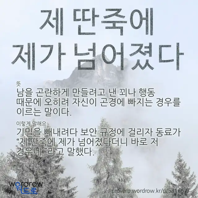 “제 딴죽에 제가 넘어졌다” 글씨와 뜻·예문이 완성된 속담 영상 포스터