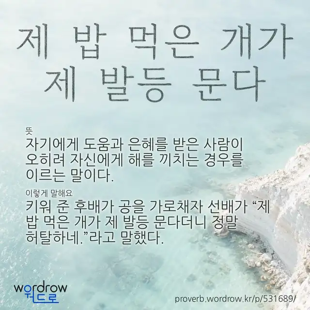 “제 밥 먹은 개가 제 발등 문다” 글씨와 뜻·예문이 완성된 속담 영상 포스터