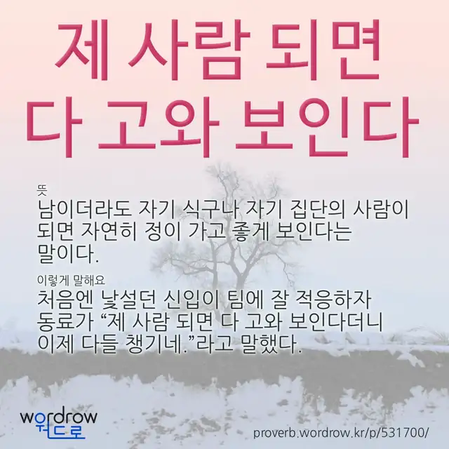 “제 사람 되면 다 고와 보인다” 글씨와 뜻·예문이 완성된 속담 영상 포스터