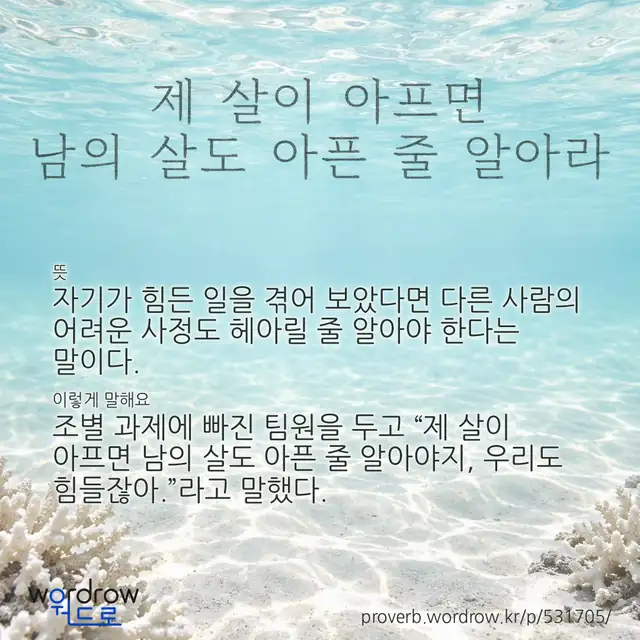 “제 살이 아프면 남의 살도 아픈 줄 알아라” 글씨와 뜻·예문이 완성된 속담 영상 포스터