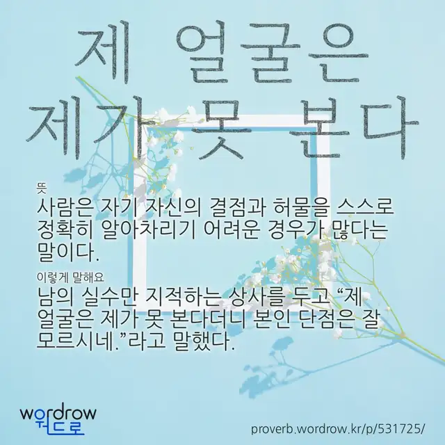 “제 얼굴은 제가 못 본다” 글씨와 뜻·예문이 완성된 속담 영상 포스터