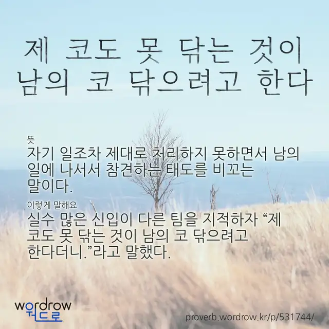 “제 코도 못 닦는 것이 남의 코 닦으려고 한다” 글씨와 뜻·예문이 완성된 속담 영상 포스터