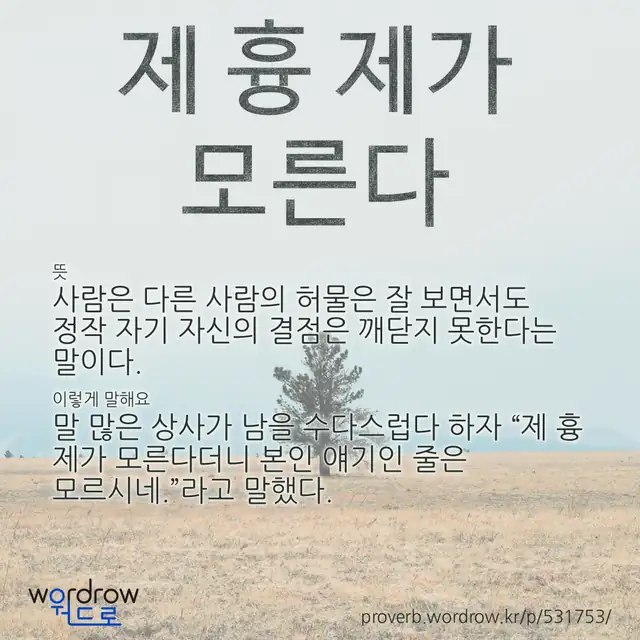 “제 흉 제가 모른다” 글씨와 뜻·예문이 완성된 속담 영상 포스터