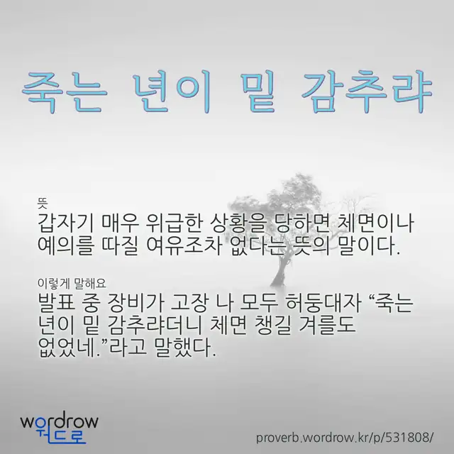 “죽는 년이 밑 감추랴” 글씨와 뜻·예문이 완성된 속담 영상 포스터