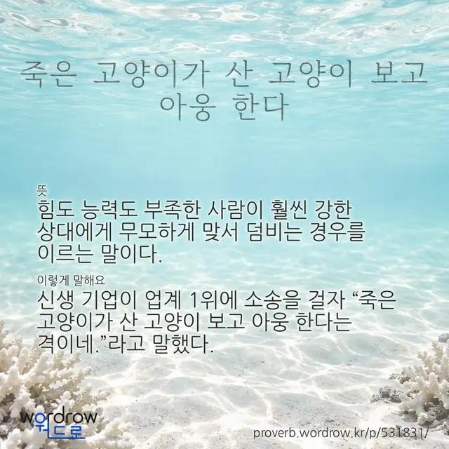 “죽은 고양이가 산 고양이 보고 아웅 한다” 글씨와 뜻·예문이 완성된 속담 영상 포스터