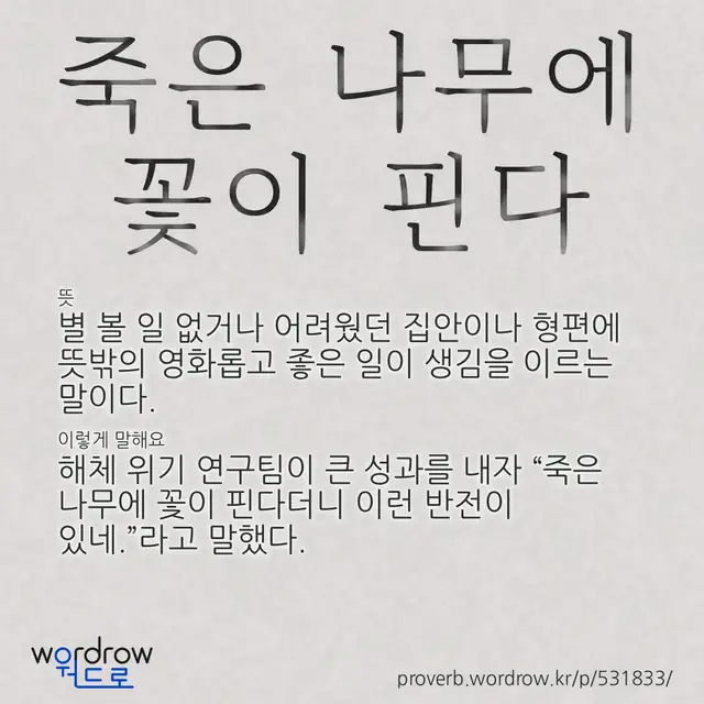 “죽은 나무에 꽃이 핀다” 글씨와 뜻·예문이 완성된 속담 영상 포스터
