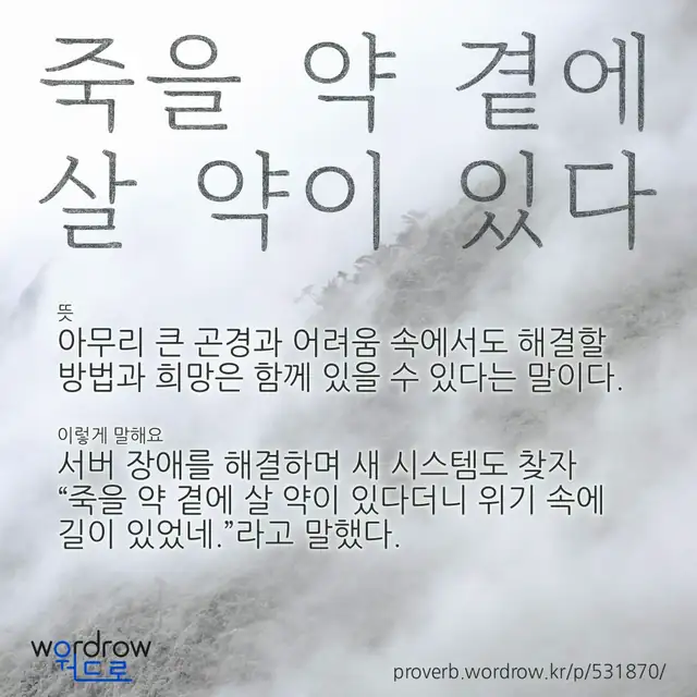 “죽을 약 곁에 살 약이 있다” 글씨와 뜻·예문이 완성된 속담 영상 포스터