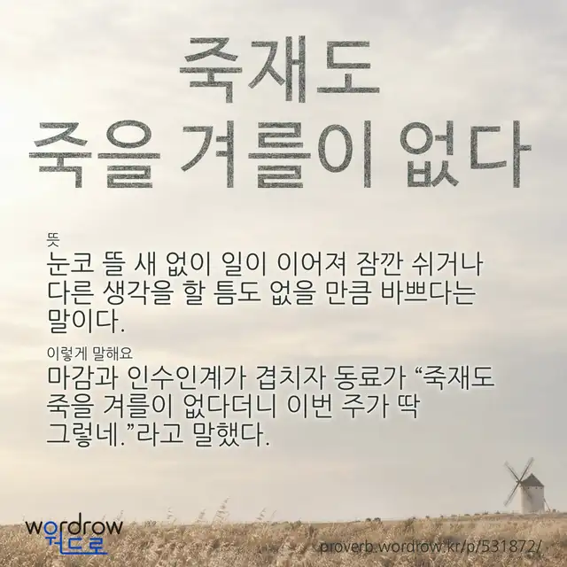“죽재도 죽을 겨를이 없다” 글씨와 뜻·예문이 완성된 속담 영상 포스터