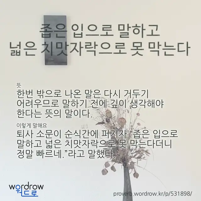 “좁은 입으로 말하고 넓은 치맛자락으로 못 막는다” 글씨와 뜻·예문이 완성된 속담 영상 포스터