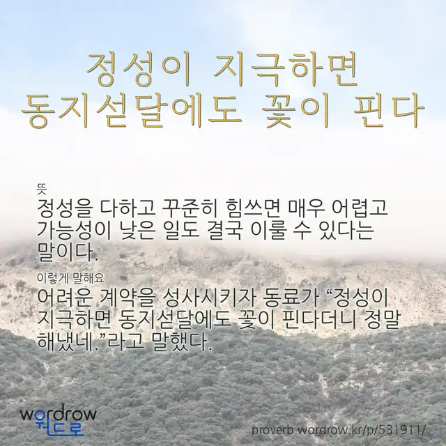 “정성이 지극하면 동지섣달에도 꽃이 핀다” 글씨와 뜻·예문이 완성된 속담 영상 포스터