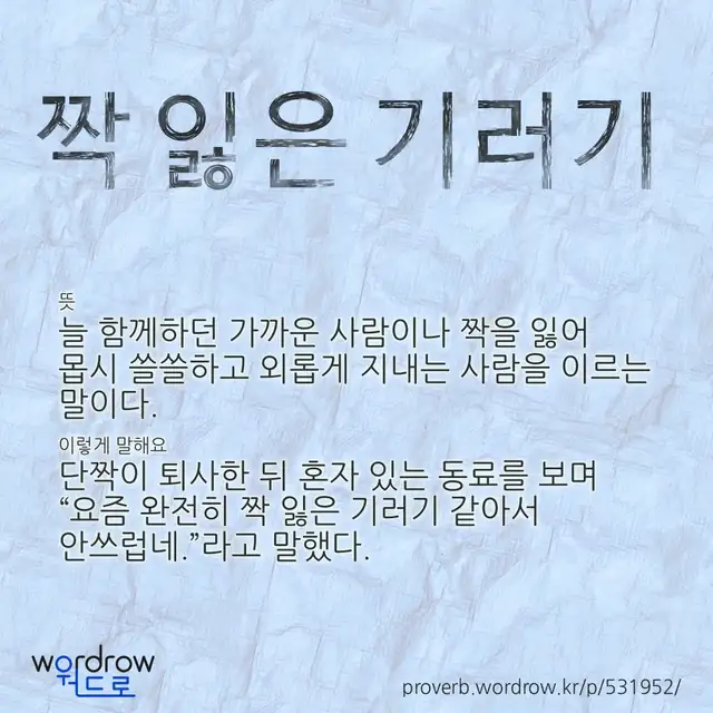 “짝 잃은 기러기” 글씨와 뜻·예문이 완성된 속담 영상 포스터