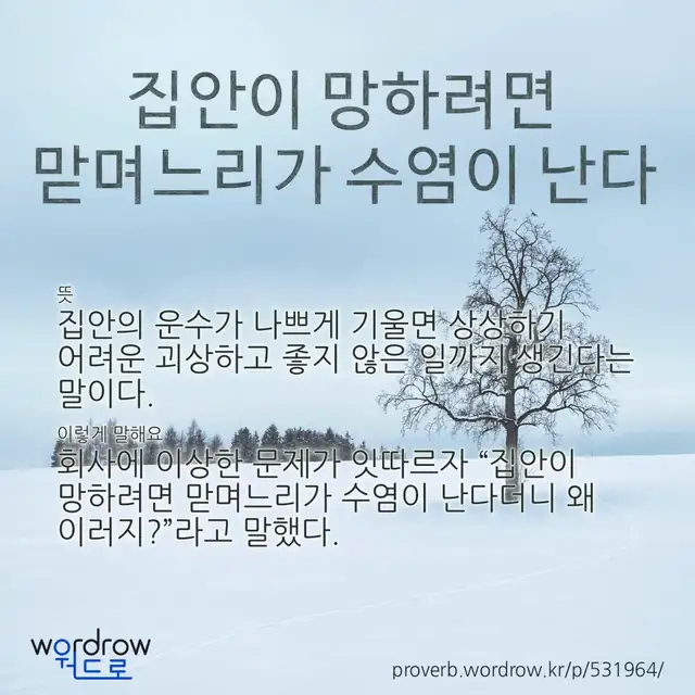 “집안이 망하려면 맏며느리가 수염이 난다” 글씨와 뜻·예문이 완성된 속담 영상 포스터
