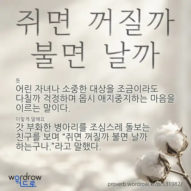 “쥐면 꺼질까 불면 날까” 글씨와 뜻·예문이 완성된 속담 영상 포스터