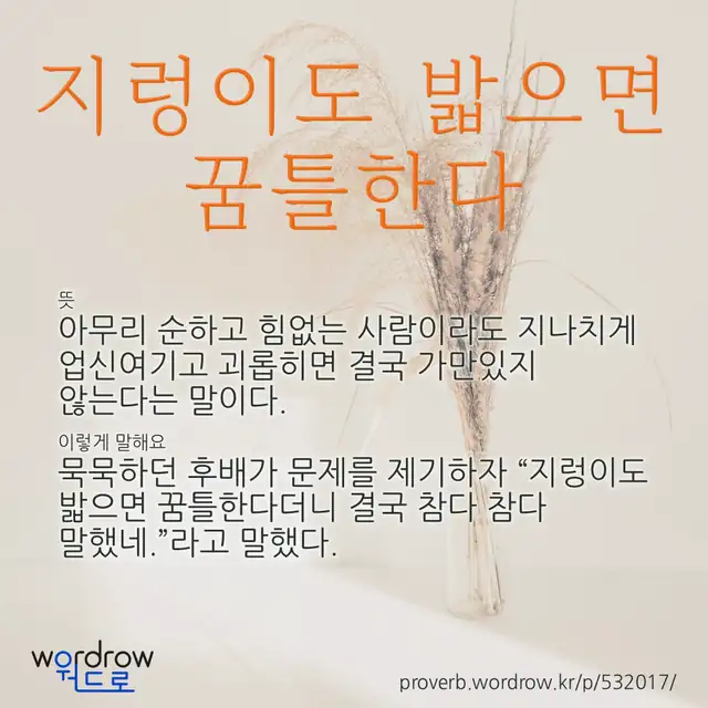 “지렁이도 밟으면 꿈틀한다” 글씨와 뜻·예문이 완성된 속담 영상 포스터