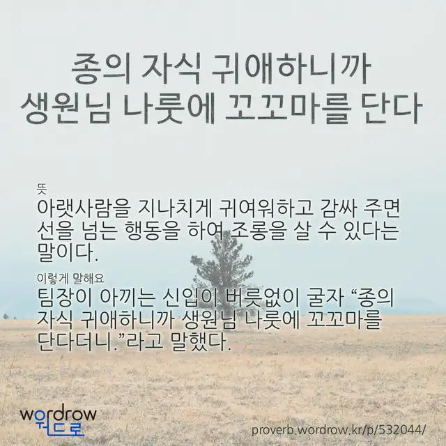 “종의 자식 귀애하니까 생원님 나룻에 꼬꼬마를 단다” 글씨와 뜻·예문이 완성된 속담 영상 포스터