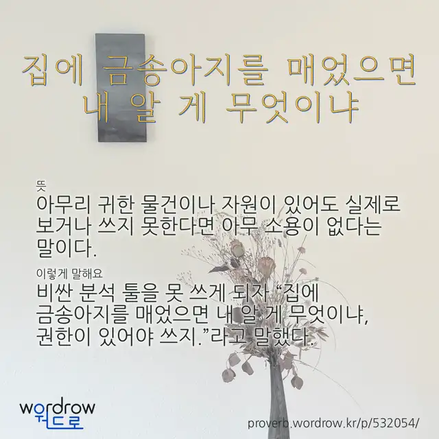 “집에 금송아지를 매었으면 내 알 게 무엇이냐” 글씨와 뜻·예문이 완성된 속담 영상 포스터