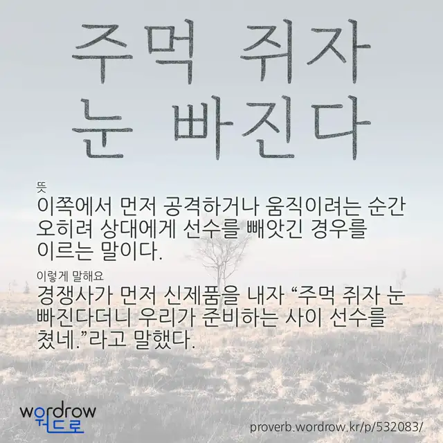 “주먹 쥐자 눈 빠진다” 글씨와 뜻·예문이 완성된 속담 영상 포스터