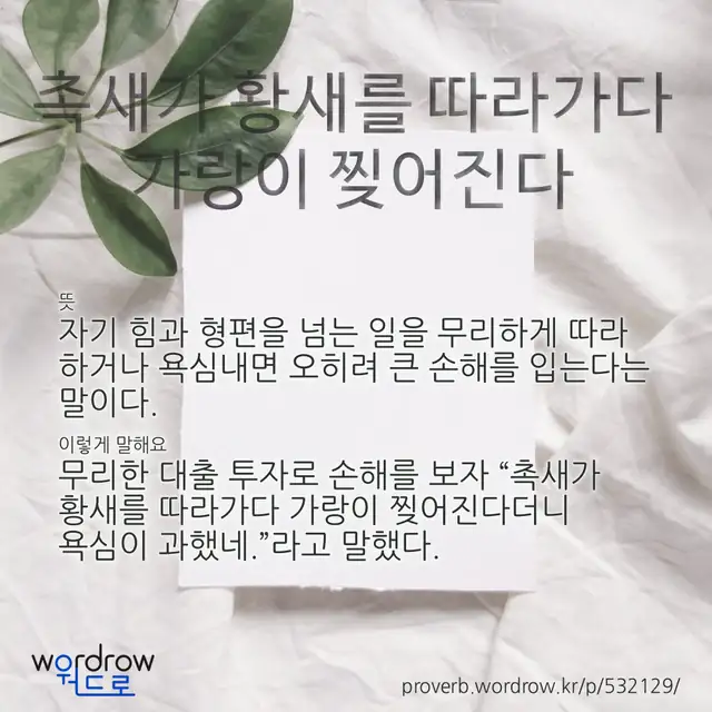 “촉새가 황새를 따라가다 가랑이 찢어진다” 글씨와 뜻·예문이 완성된 속담 영상 포스터