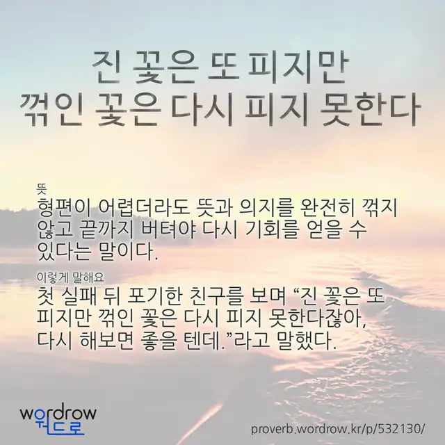 “진 꽃은 또 피지만 꺾인 꽃은 다시 피지 못한다” 글씨와 뜻·예문이 완성된 속담 영상 포스터