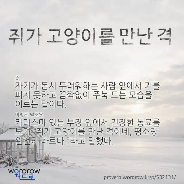 “쥐가 고양이를 만난 격” 글씨와 뜻·예문이 완성된 속담 영상 포스터