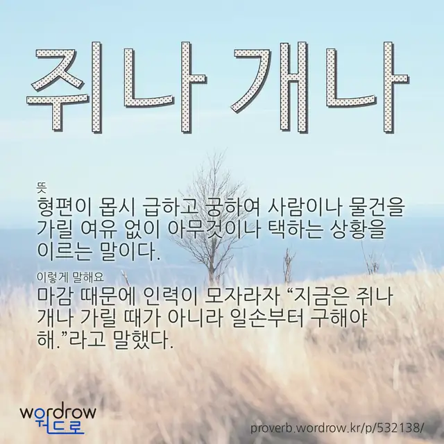 “쥐나 개나” 글씨와 뜻·예문이 완성된 속담 영상 포스터