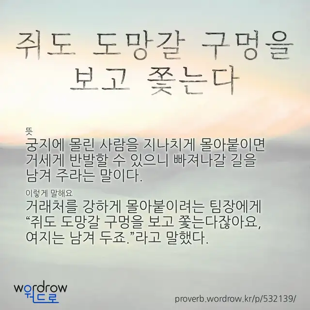 “쥐도 도망갈 구멍을 보고 쫓는다” 글씨와 뜻·예문이 완성된 속담 영상 포스터