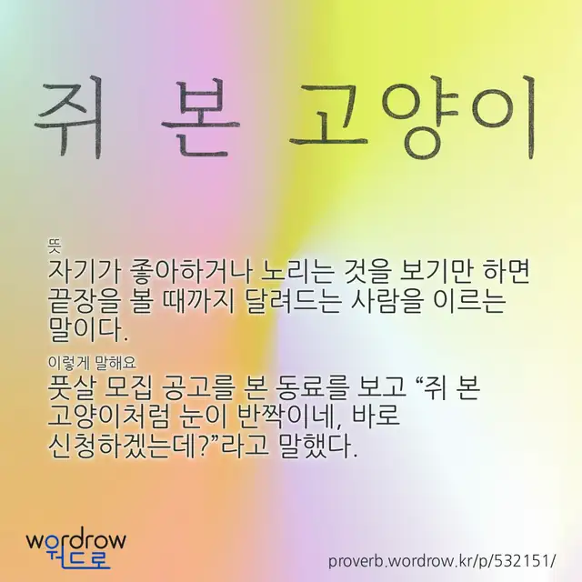“쥐 본 고양이” 글씨와 뜻·예문이 완성된 속담 영상 포스터