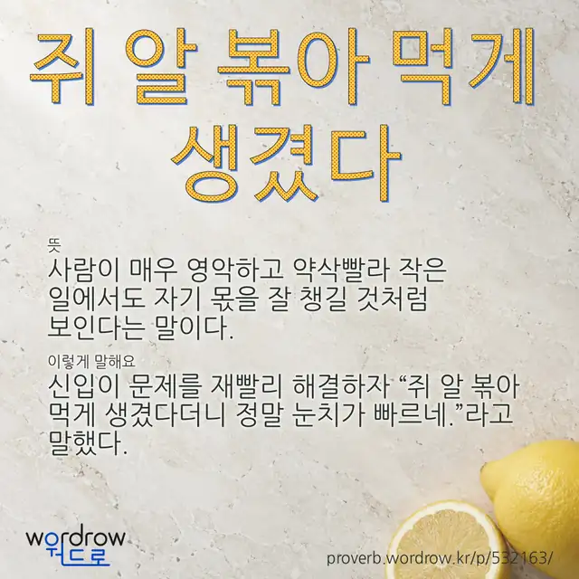 “쥐 알 볶아 먹게 생겼다” 글씨와 뜻·예문이 완성된 속담 영상 포스터