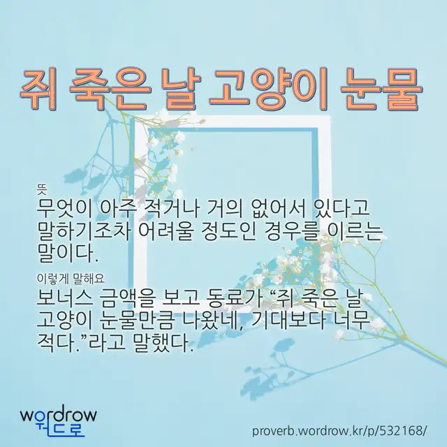“쥐 죽은 날 고양이 눈물” 글씨와 뜻·예문이 완성된 속담 영상 포스터