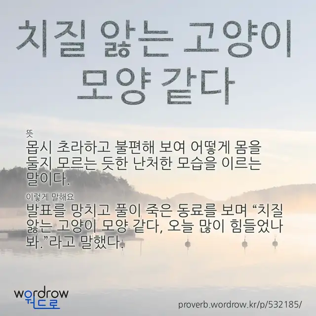 “치질 앓는 고양이 모양 같다” 글씨와 뜻·예문이 완성된 속담 영상 포스터